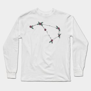 Volans (Flying Fish) Constellation Roses and Hearts Doodle Long Sleeve T-Shirt